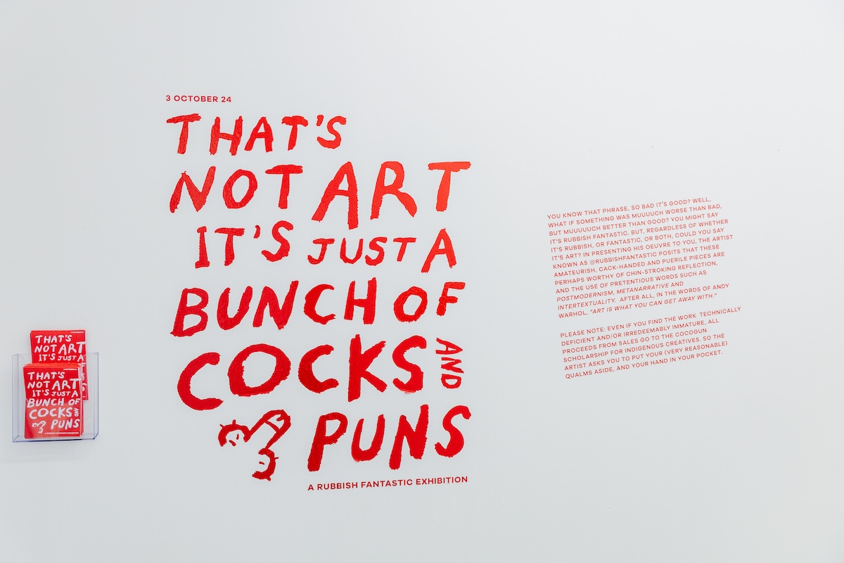 ‘That’s Not Art, It’s Just a Bunch of Cocks and Puns’: Cocogun creative partner Ant Melder showcases art at ‘Rubbish Fantastic’ exhibition