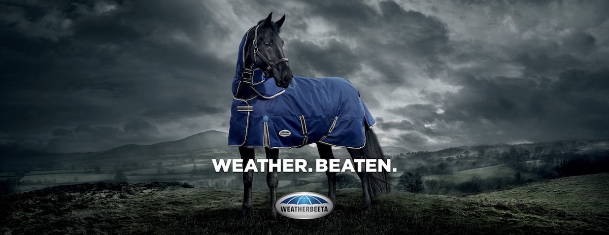 Weatherbeeta appoints Shout Digital as global digital marketing agency partner