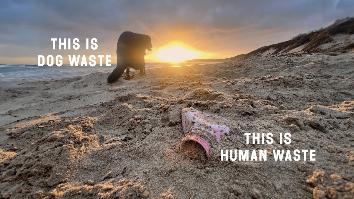 Creative director Neil Walshe turns dog walkers into Earth clean up crew with Human Waste Bag