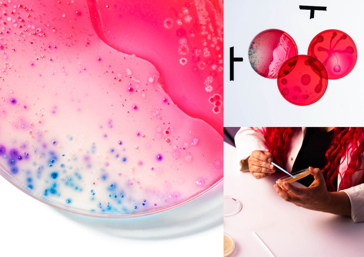 No Ugly transforms inner gut beauty into works of art in new campaign via Droga5 Aotearoa