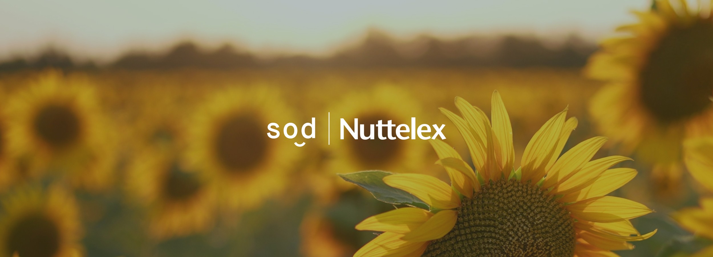 Nuttelex appoints digital agency Sod