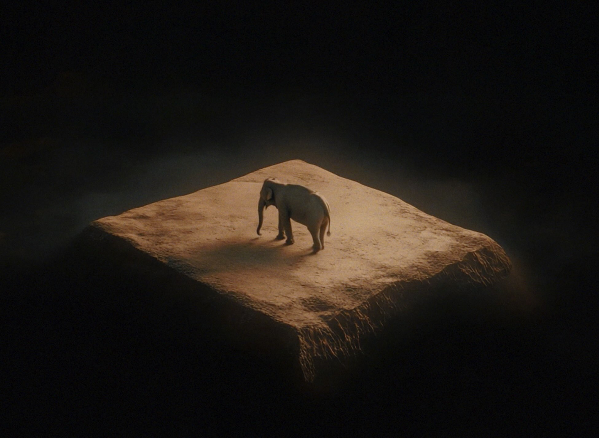 World Animal Protection and Happiness Brussels turn YouTube’s first video into a call for change