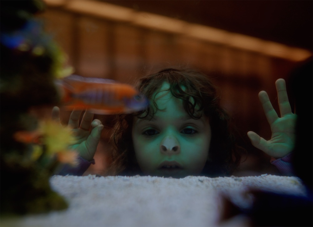 ‘Screentime’ – A Short Film by Alexandrena Parker to Screen at St Kilda Film Festival