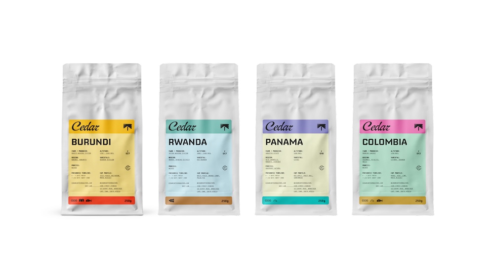 The Power of One – A Designer’s Leap from Comfort to Clarity