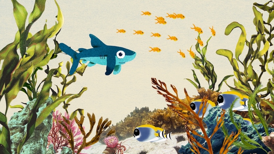 Photoplay’s Dropbear and Greenpeace Unite to Protect Oceans from Long Line Fishing