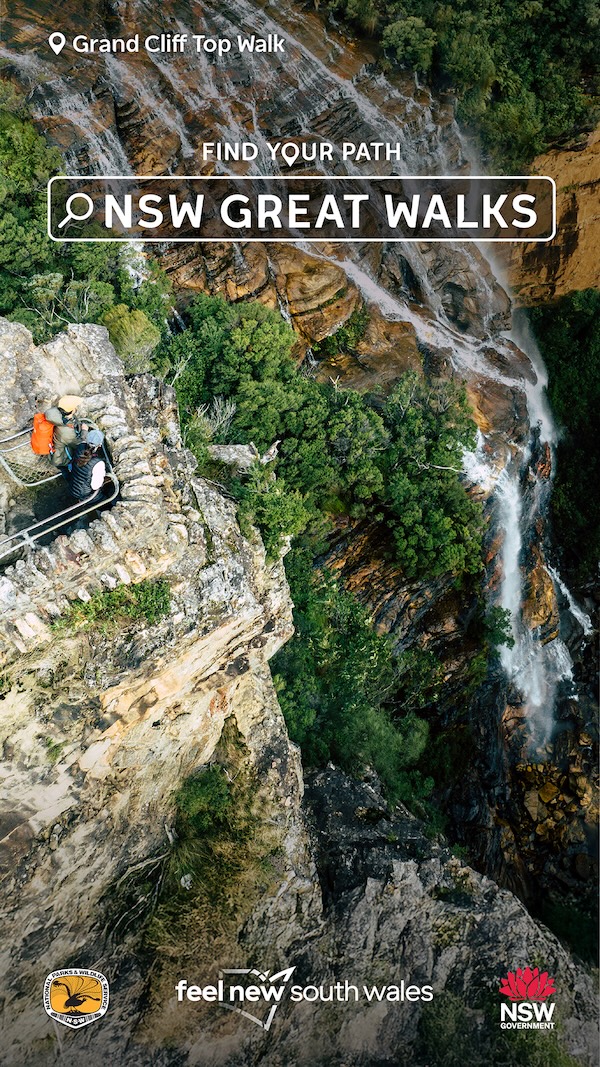 NSW puts its walking tracks on the map in new ‘Find Your Path on a NSW Great Walk’ campaign
