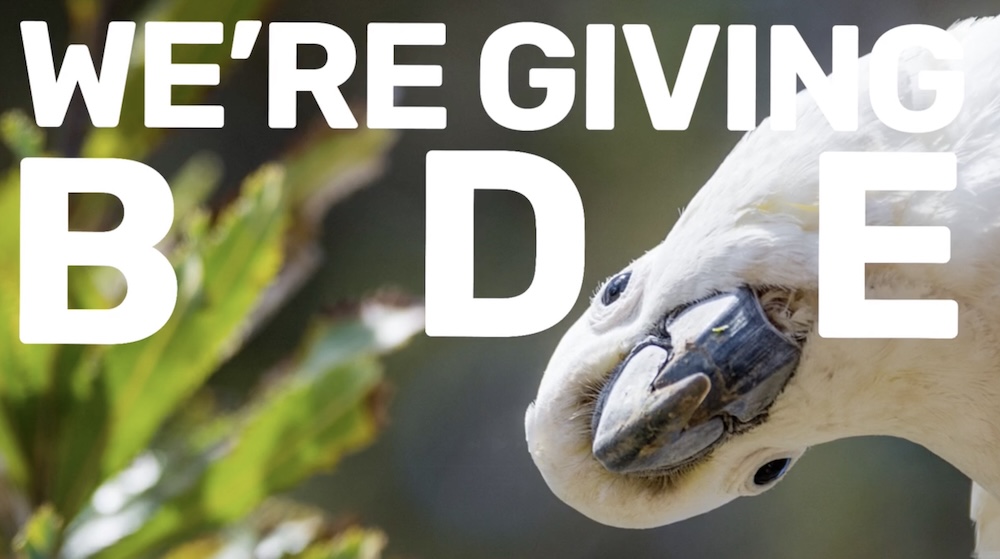 Grampians gives serious BDE to revive tourism post-bushfires in latest campaign via littleBIG