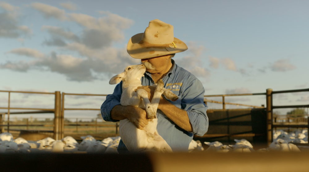 The Cowboys’ Matt Sterne scores big with debut film ‘Ghost Town Cricket’ – now streaming