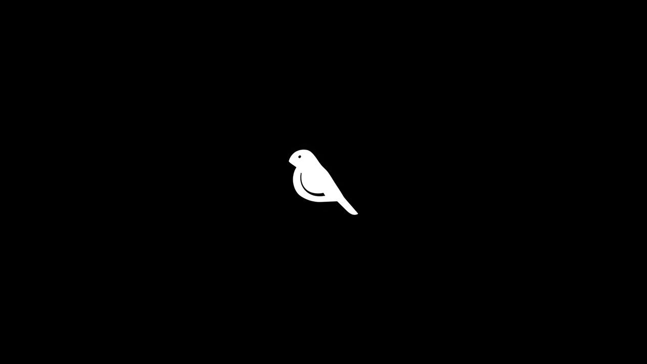 FINCH crowned Gerety Awards 2025 Australian Production Company of the Year