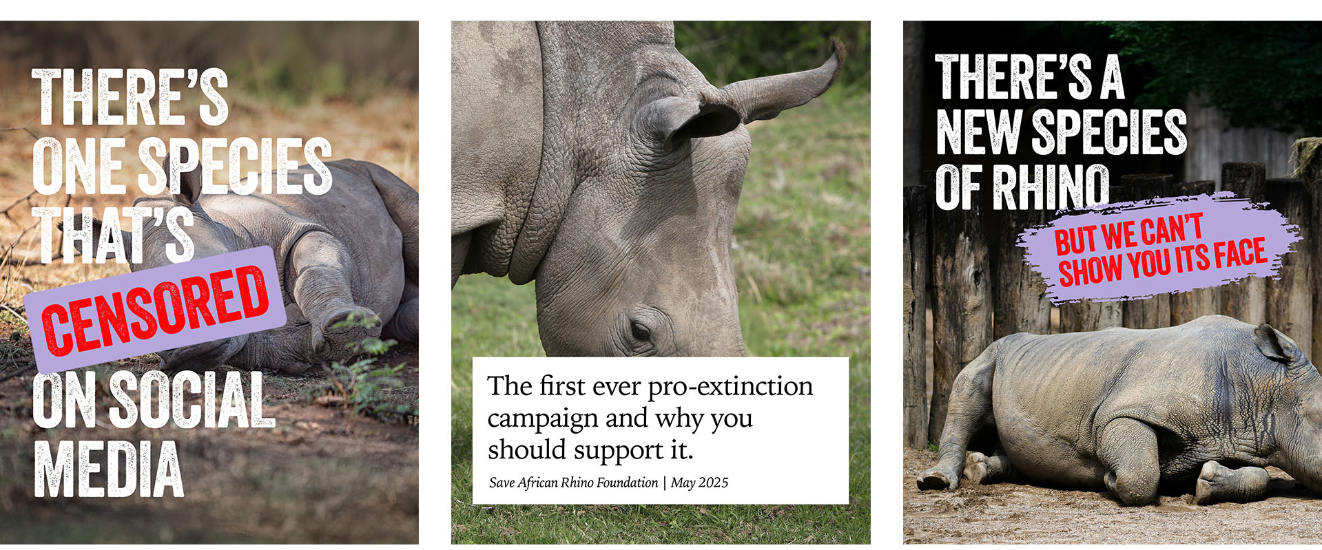 Save African Rhino Foundation teams up with Rare to create pro-extinction campaign