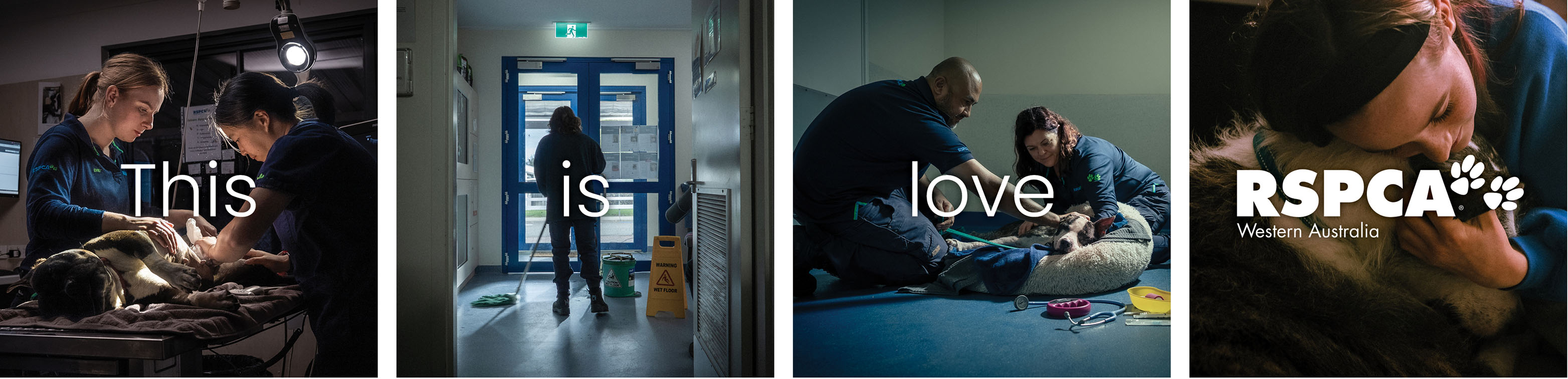 KWP+Partners Perth’s ‘This Is Love’ film for RSPCA WA shows what real love looks like