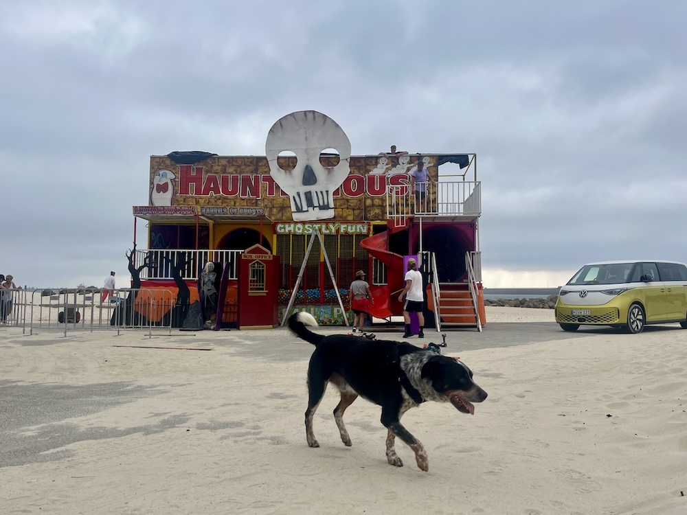 Beyond the Brief: How DDB Sydney turned nostalgia into electric joy for Volkswagen