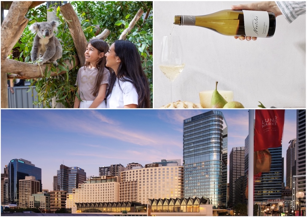 Dialogue adds Sydney Zoo and Nautilus Estate to client roster; retains Hyatt Regency Sydney