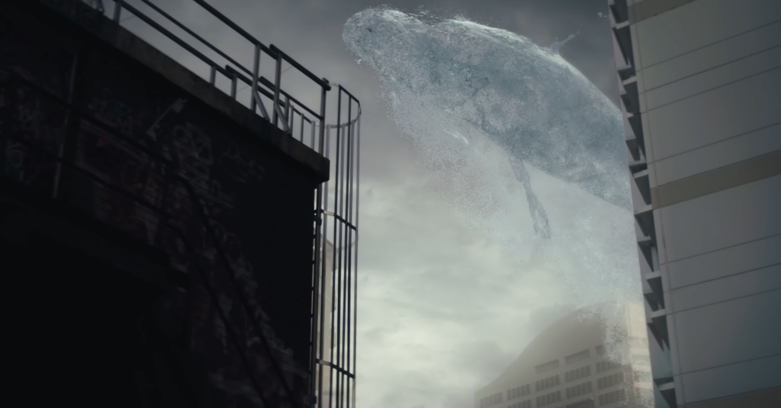 AMCS launches new ‘Fragile Ocean’ campaign with Nick Cave soundtrack for Threatened Species Day