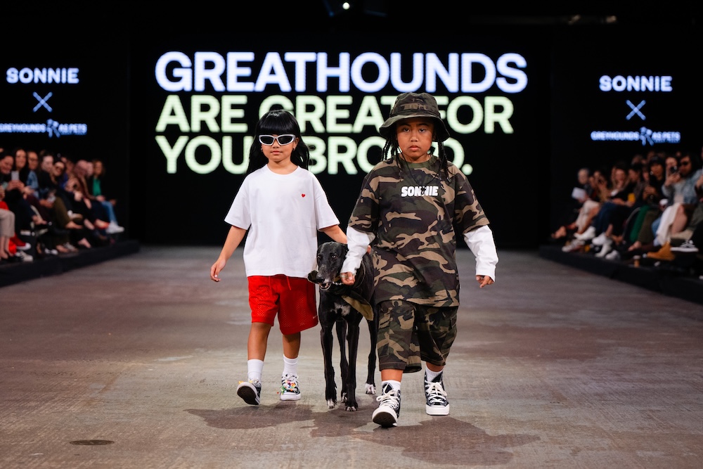 Greyhounds strut the runway at NZ Fashion Week in new adoption campaign via Special New Zealand