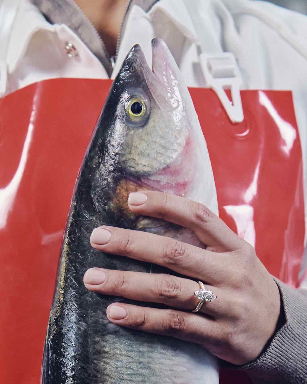 DX Diamonds champions unexpected love stories in new campaign via Willow & Blake