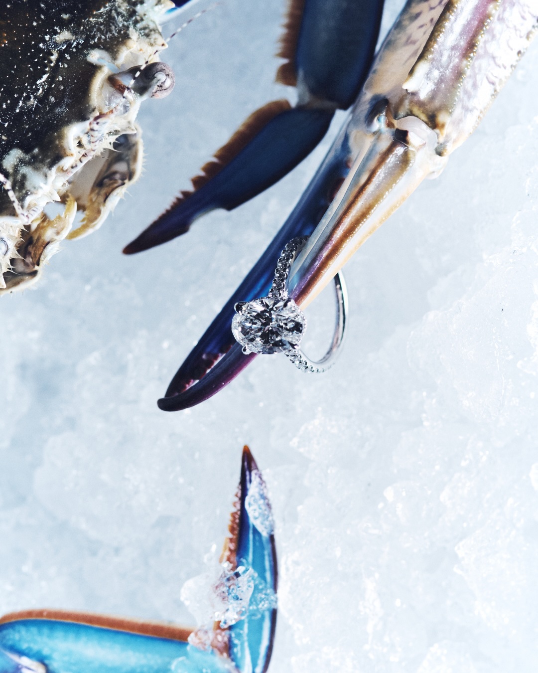 DX Diamonds champions unexpected love stories in new campaign via Willow & Blake