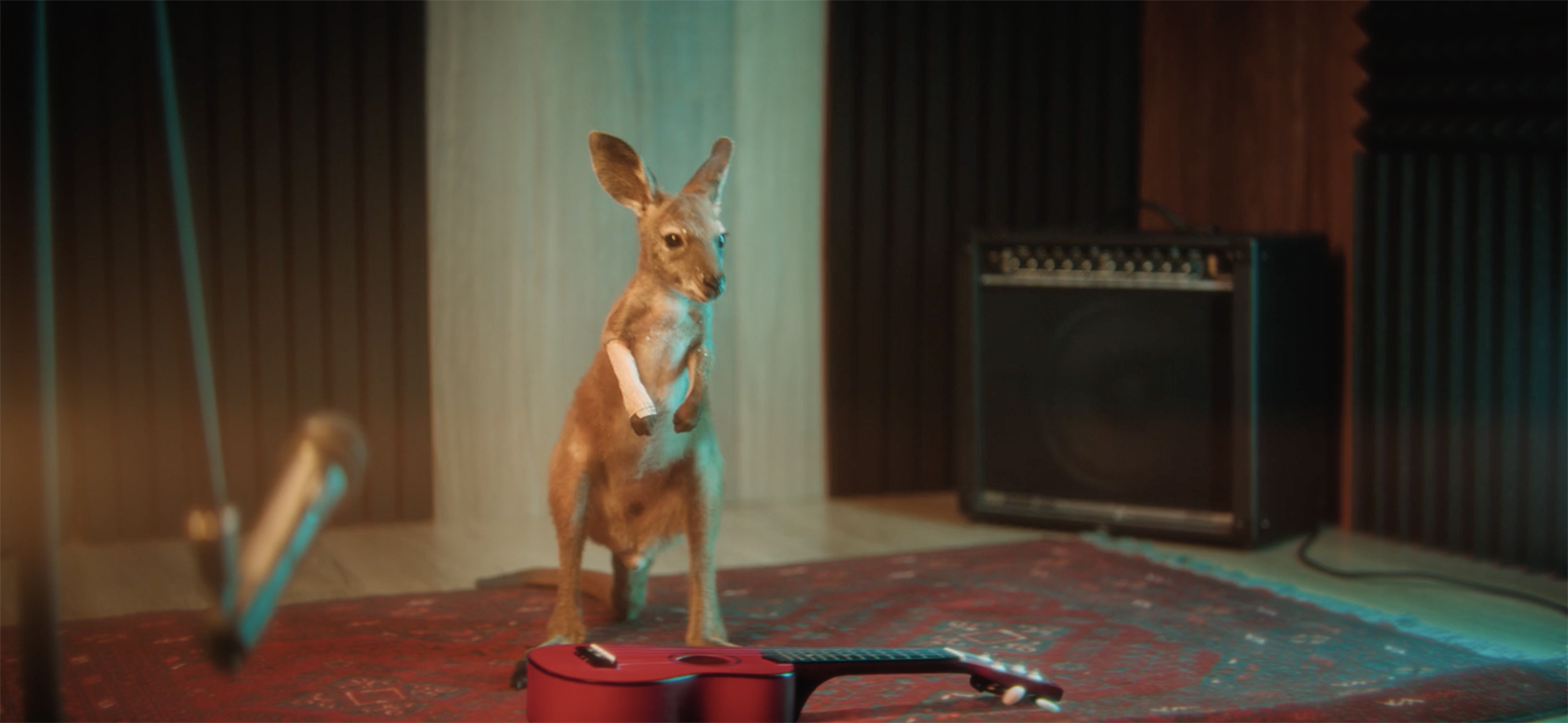 Wildlings produces beastly charity track for Perth Wildlife Hospital