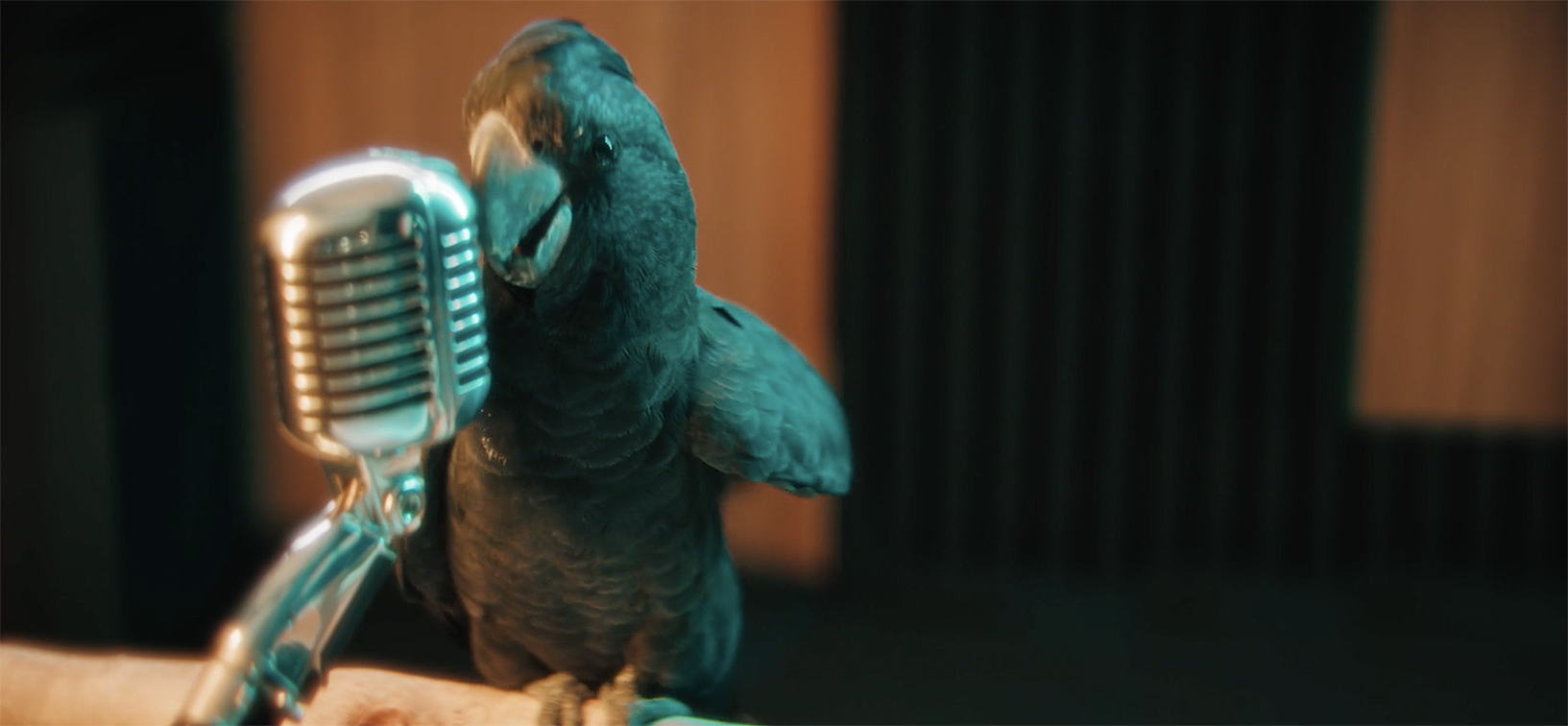 Wildlings produces beastly charity track for Perth Wildlife Hospital