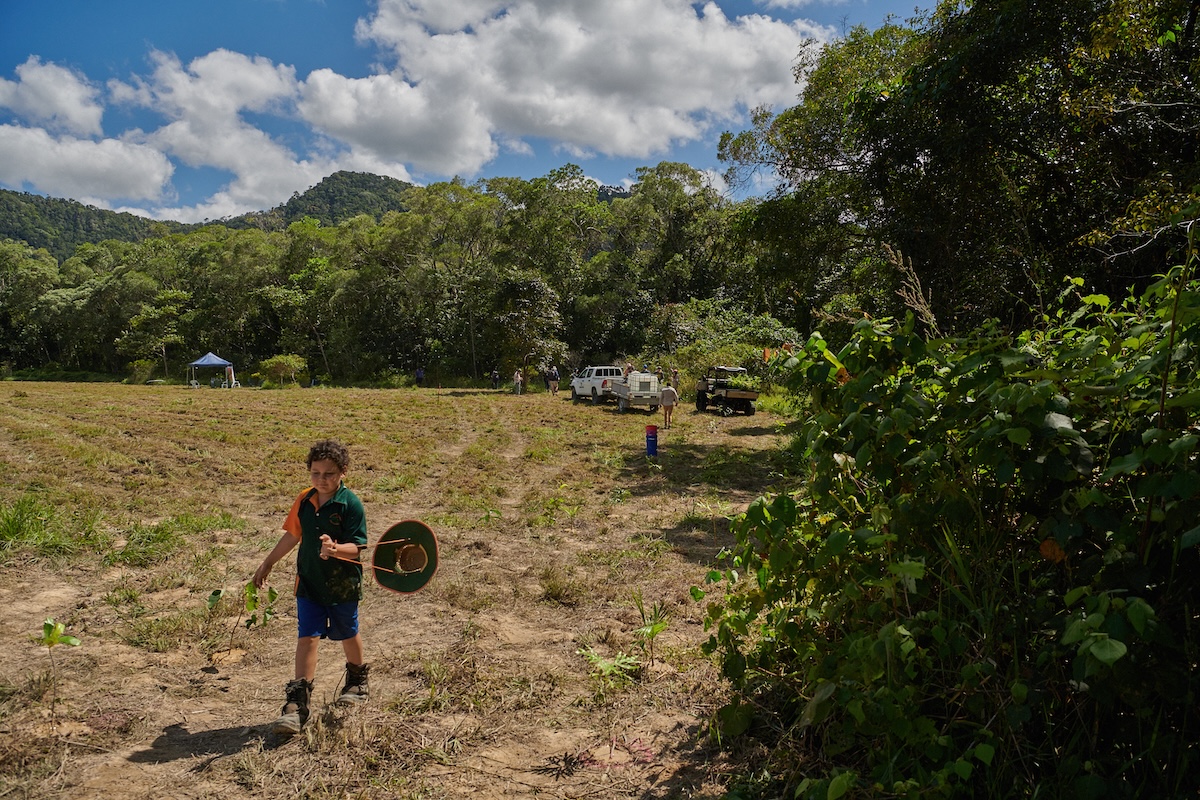 Australian fashion brand Alémais launches new Forest Project campaign to restore 12 hectares of Daintree Rainforest via Wildfire Content + MAP