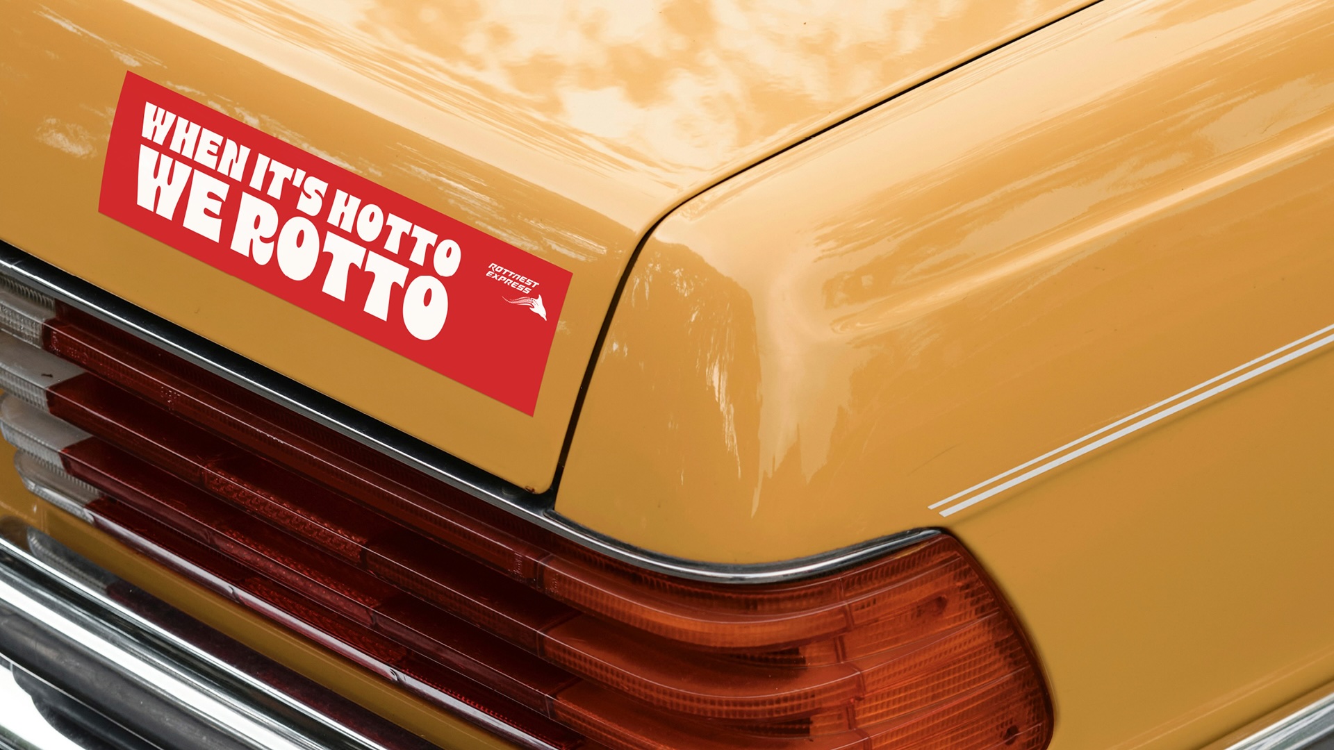 Rottnest Express launches ‘When it’s hotto we Rotto’ summer campaign via Town Square