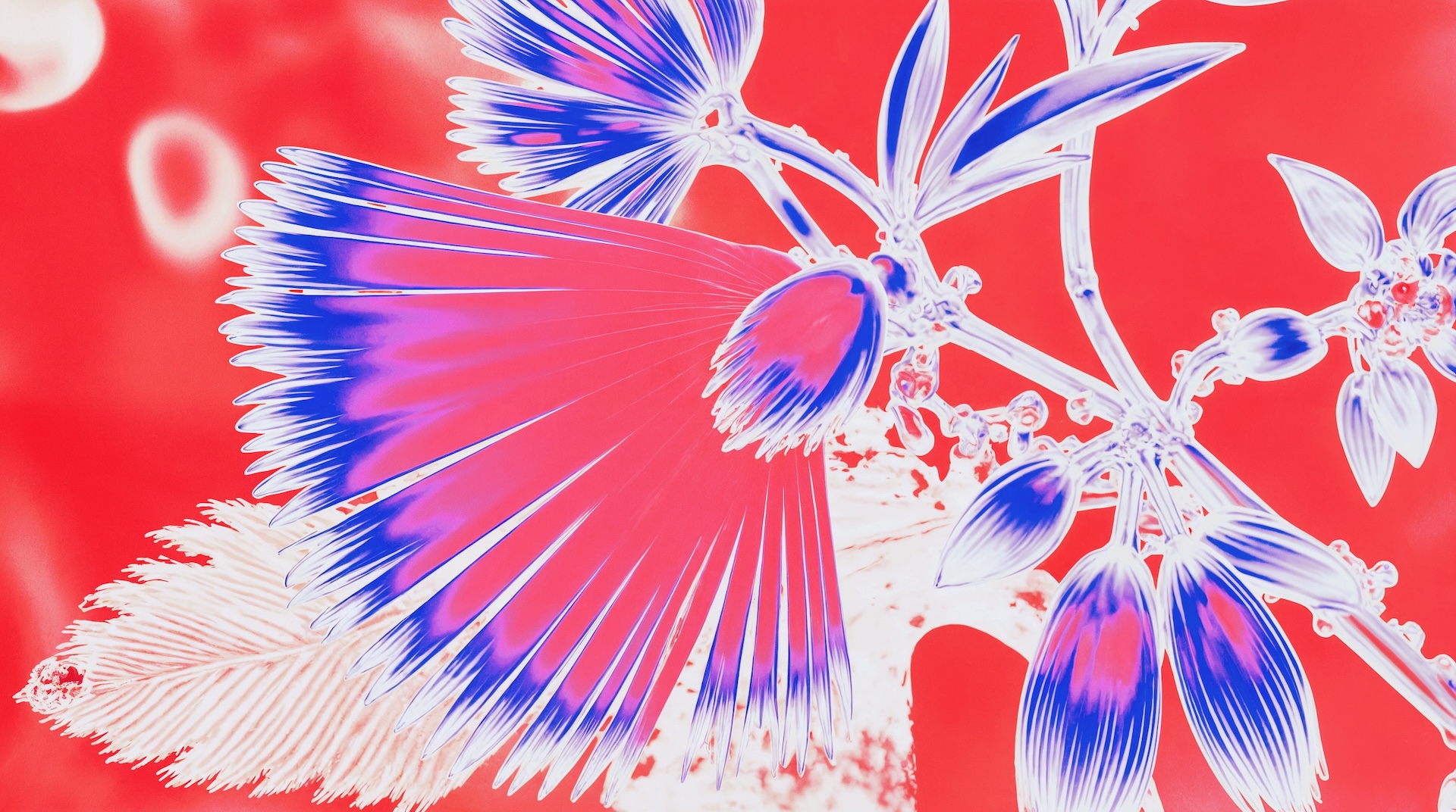 VANDAL uses plant DNA to power landmark New Year’s Eve projections