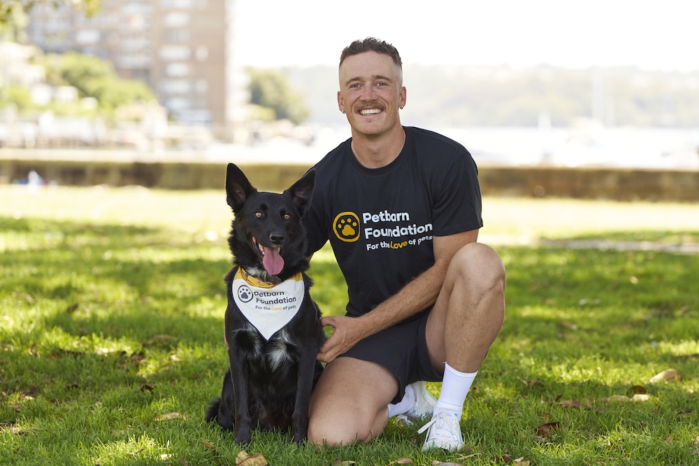 Petbarn Foundation celebrates 90,000 rescue pet milestone with new campaign via Howatson+Co