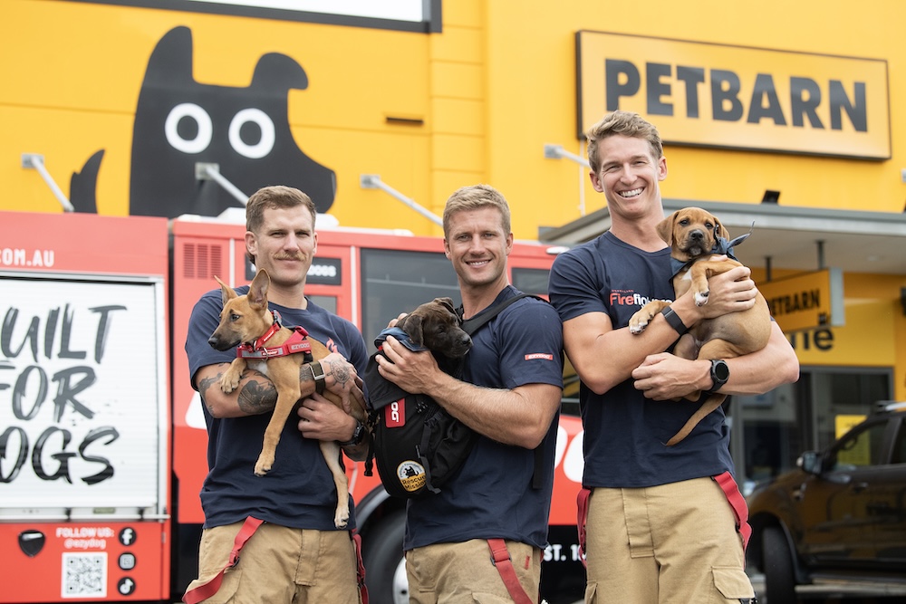 Petbarn Foundation celebrates 90,000 rescue pet milestone with new campaign via Howatson+Co