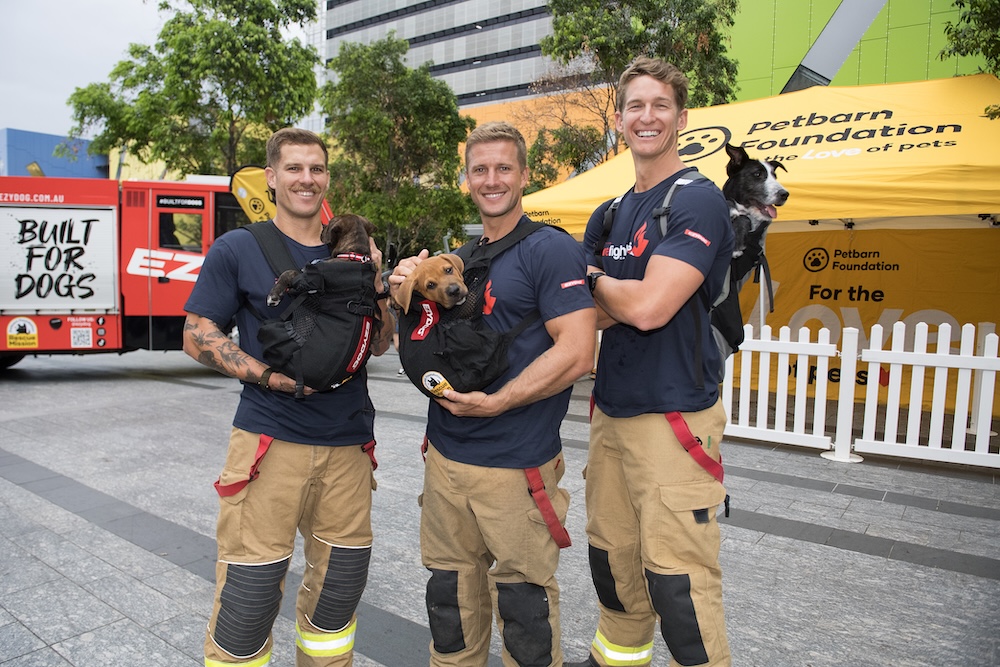 Petbarn Foundation celebrates 90,000 rescue pet milestone with new campaign via Howatson+Co