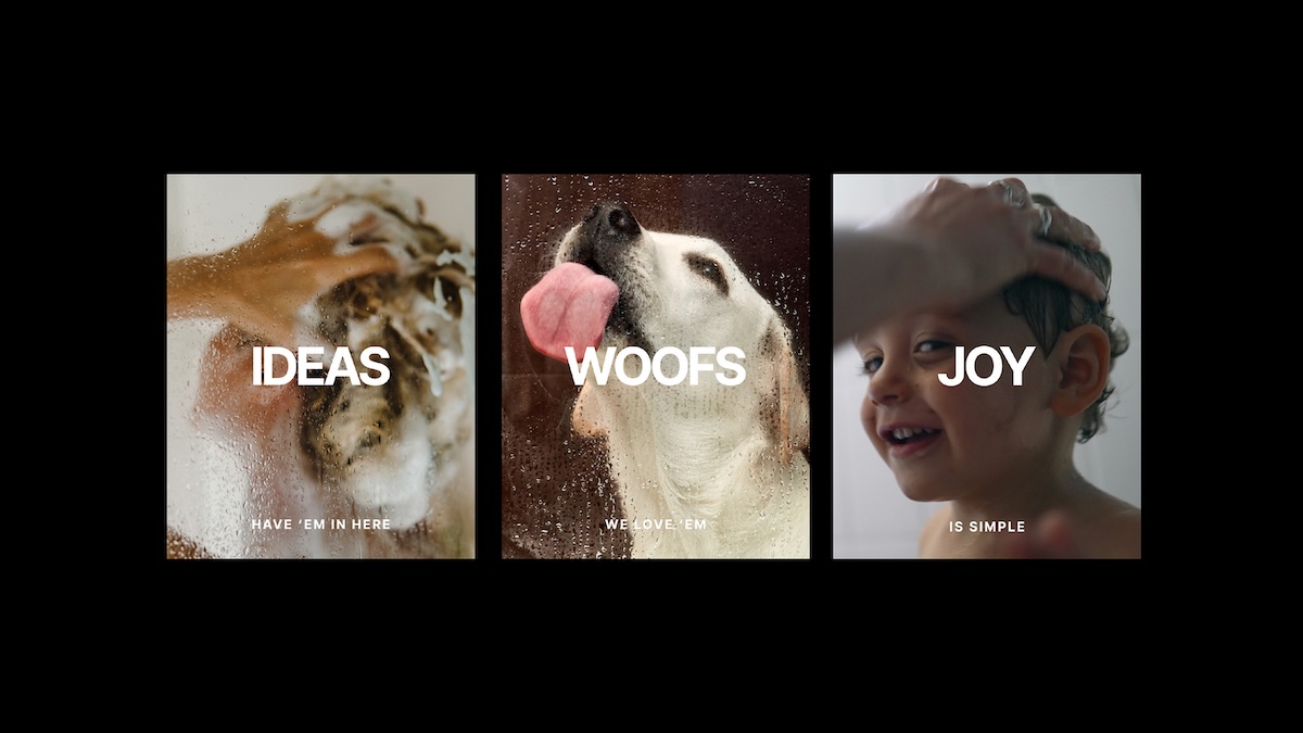 Following factory fire in 2025 Cocogun creates bold new brand identity for Universal Habitat