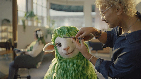 Kiwibank introduces Kiwis to ‘Buck’ – the green-wooled sheep who refuses to follow the flock in new campaign via Special NZ, Together, DNA + TRA