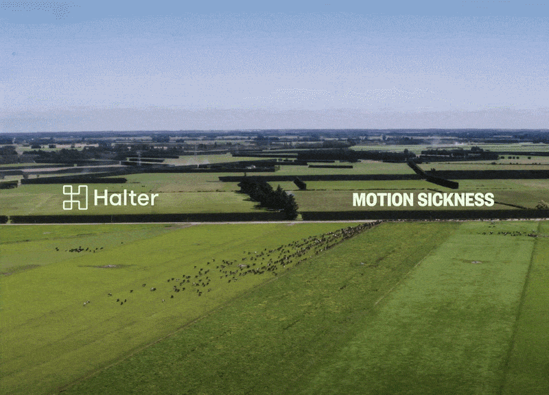 Halter picks Motion Sickness to help support its next stage of global growth into Australia + USA