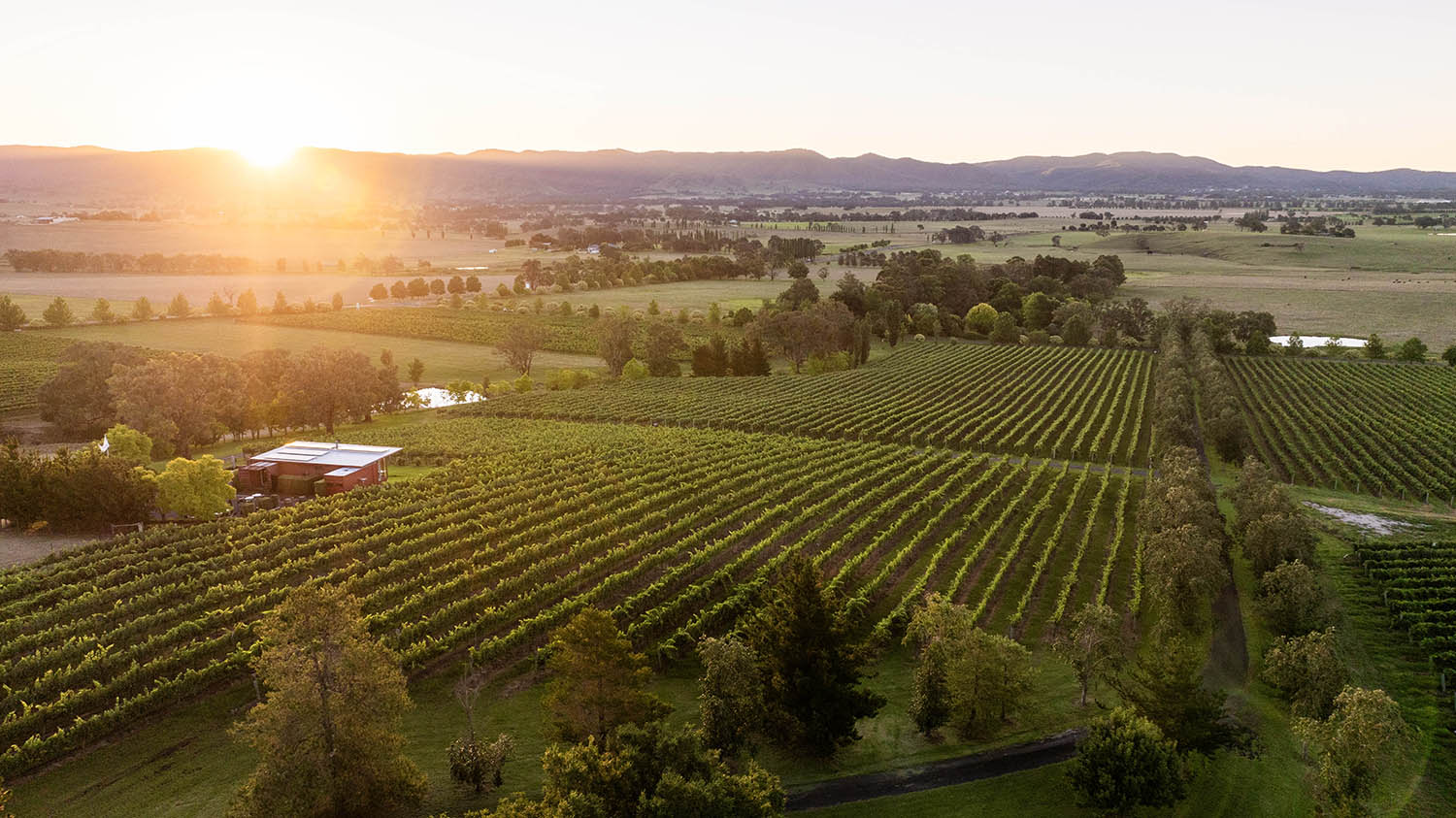 Mudgee Region Tourism rethinks destination marketing with Australia’s first ‘Rest Rebate’ via PR, content, social, experience agency We Scout