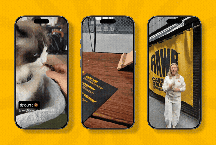 RAWR Pet Food creates Catshimi Omakase for cat social community in new work via Thinkerbell