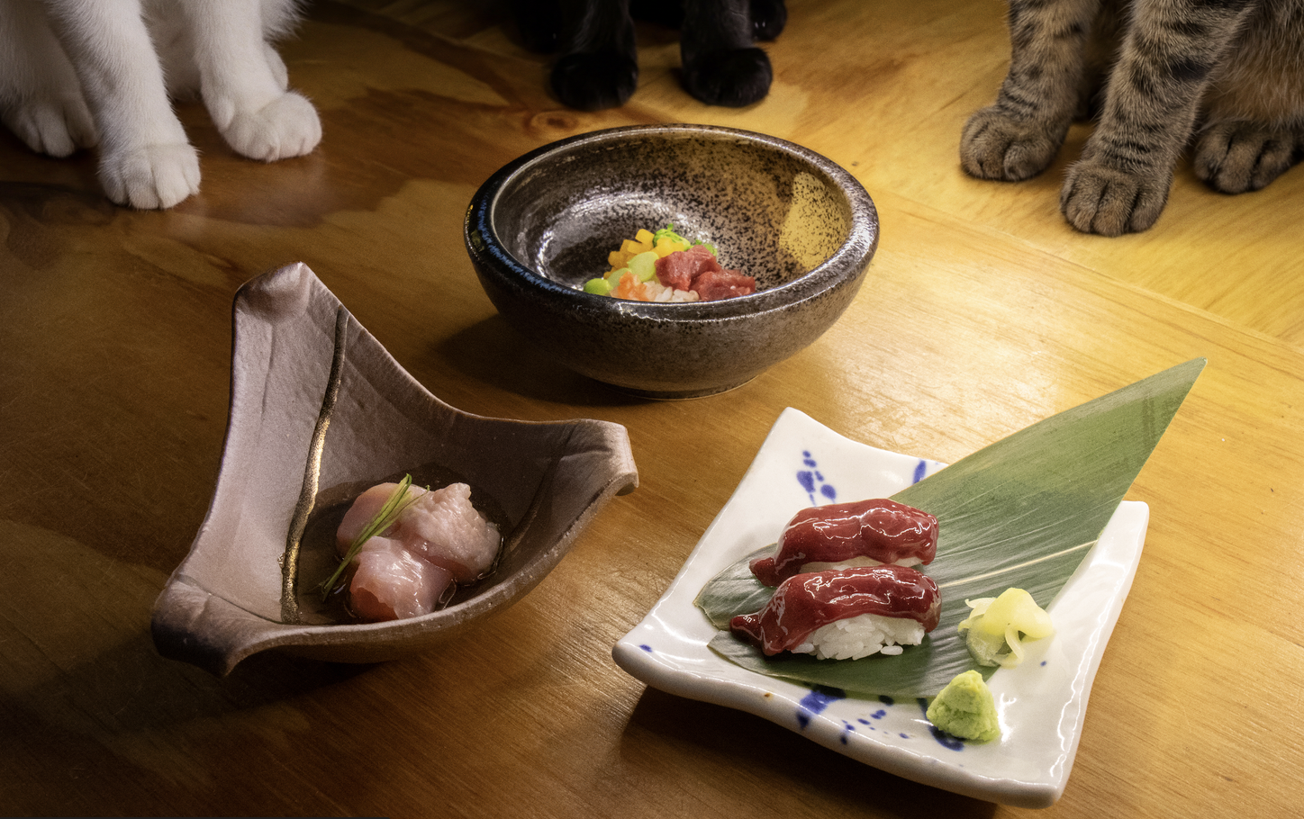 RAWR Pet Food creates Catshimi Omakase for cat social community in new work via Thinkerbell