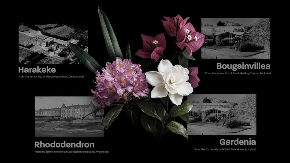 Survivors deliver flowers to Parliament from sites of state and faith-based abuse, supported by the Human Rights Commission and Daylight NZ
