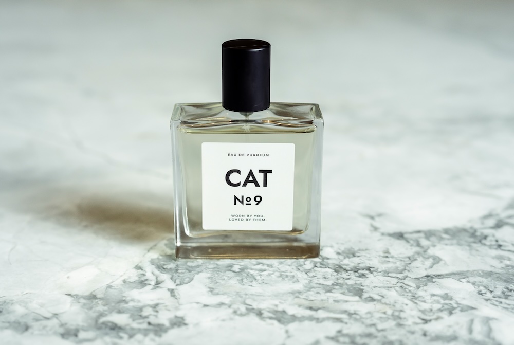 How Paper + Spark turned a cat’s nose into a national media story for NexGard SPECTRA