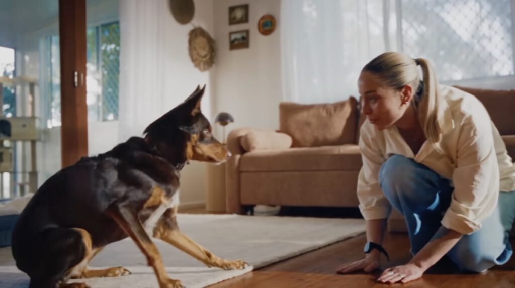 Animal Welfare League QLD launches biggest rebrand in 67 years via Studio Paradise + denstu