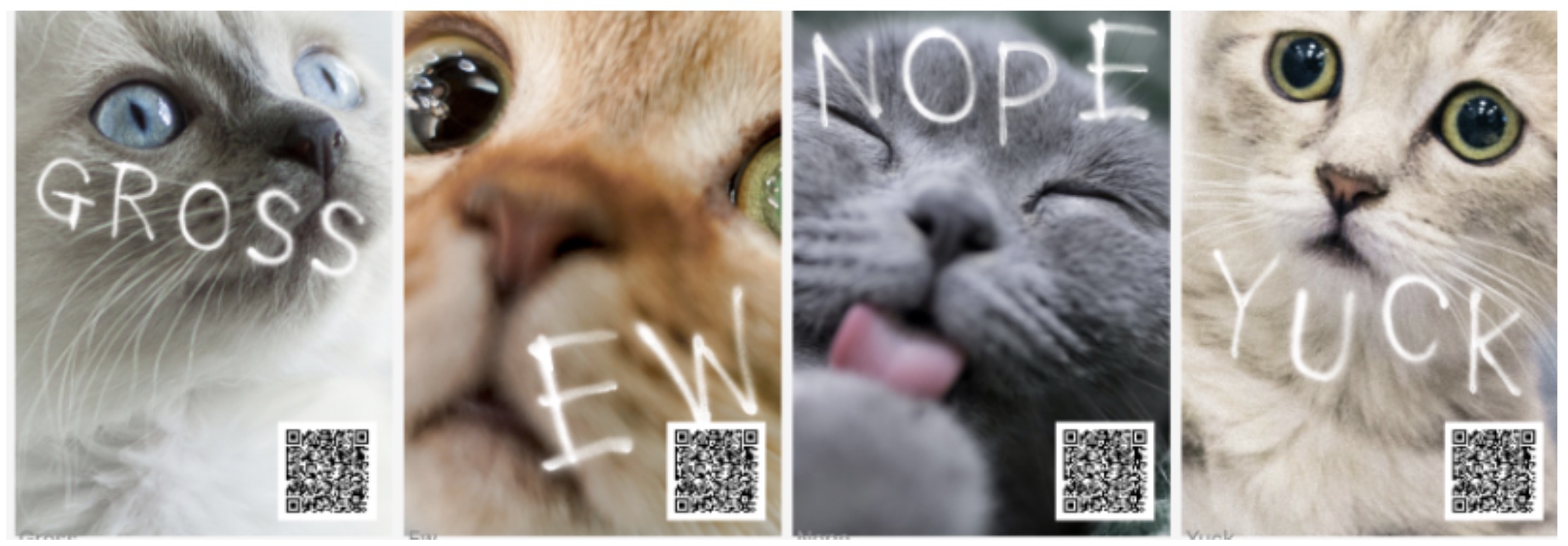 Scratch Pet Food pens open letter telling cats: “You suck” in new ‘Dear Cats’ campaign