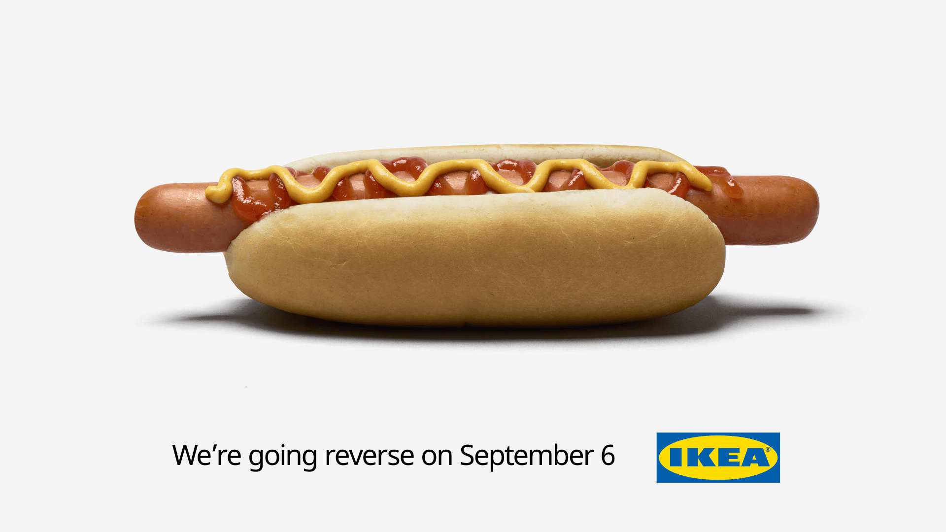 IKEA Dog Hot Reverse Shop teaser GIF