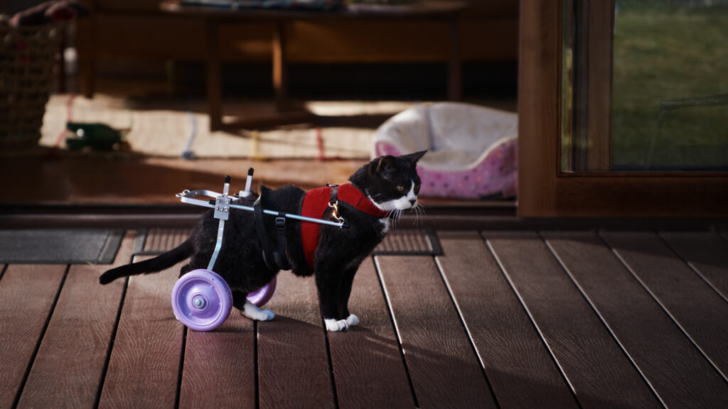 Zip explores the everyday balance between needs and wants in latest campaign via Droga5