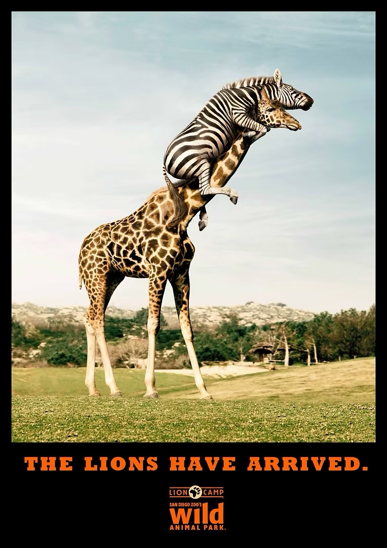 M&C Saatchi Australia’s All-Time greatest hits: Tom McFarlane, Paul Taylor, Ben Welsh and Cam Blackley pick the campaigns to remember