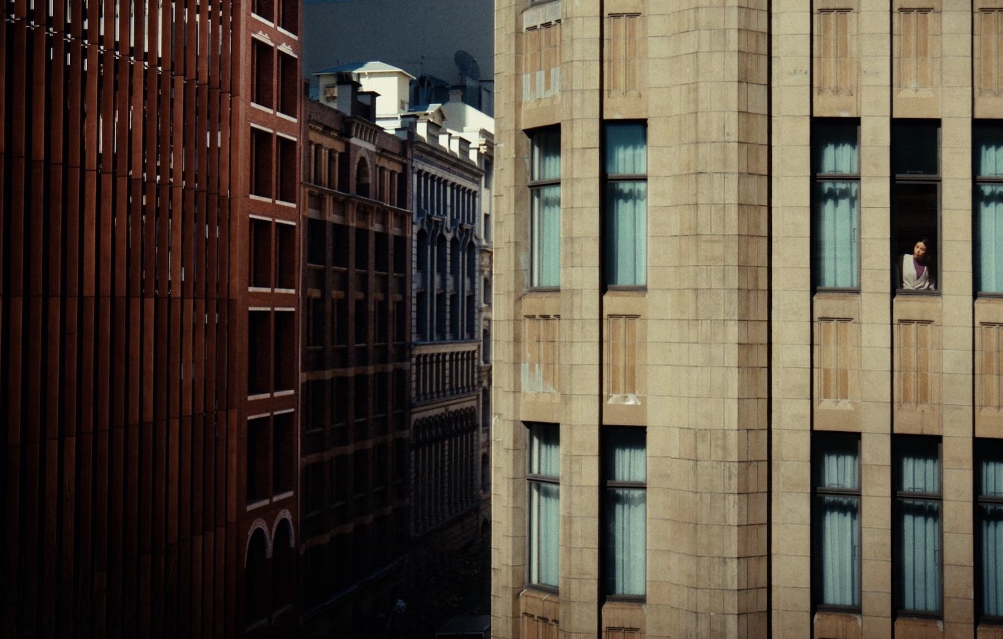 CommSec relaunches with ‘Seagulls’, in swan song campaign for CommBank via M+C Saatchi ~ directed by Collider’s Dylan Duclos