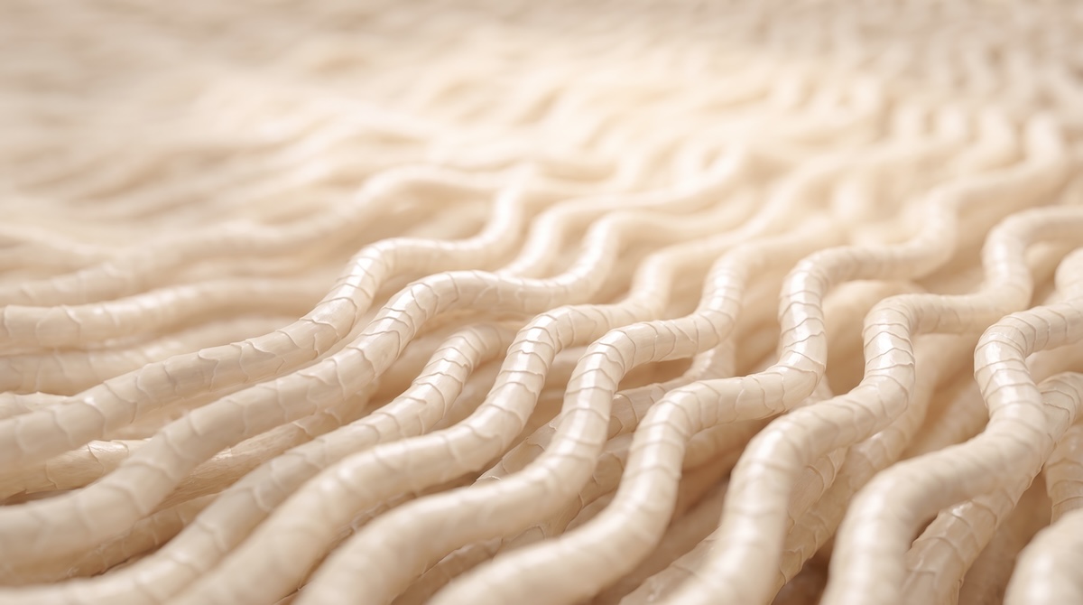 Zentera goes inside the merino fibre in new AI-produced film ‘Merino Deep Dive’ via Odd Global