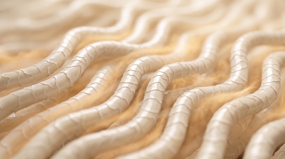 Zentera goes inside the merino fibre in new AI-produced film ‘Merino Deep Dive’ via Odd Global