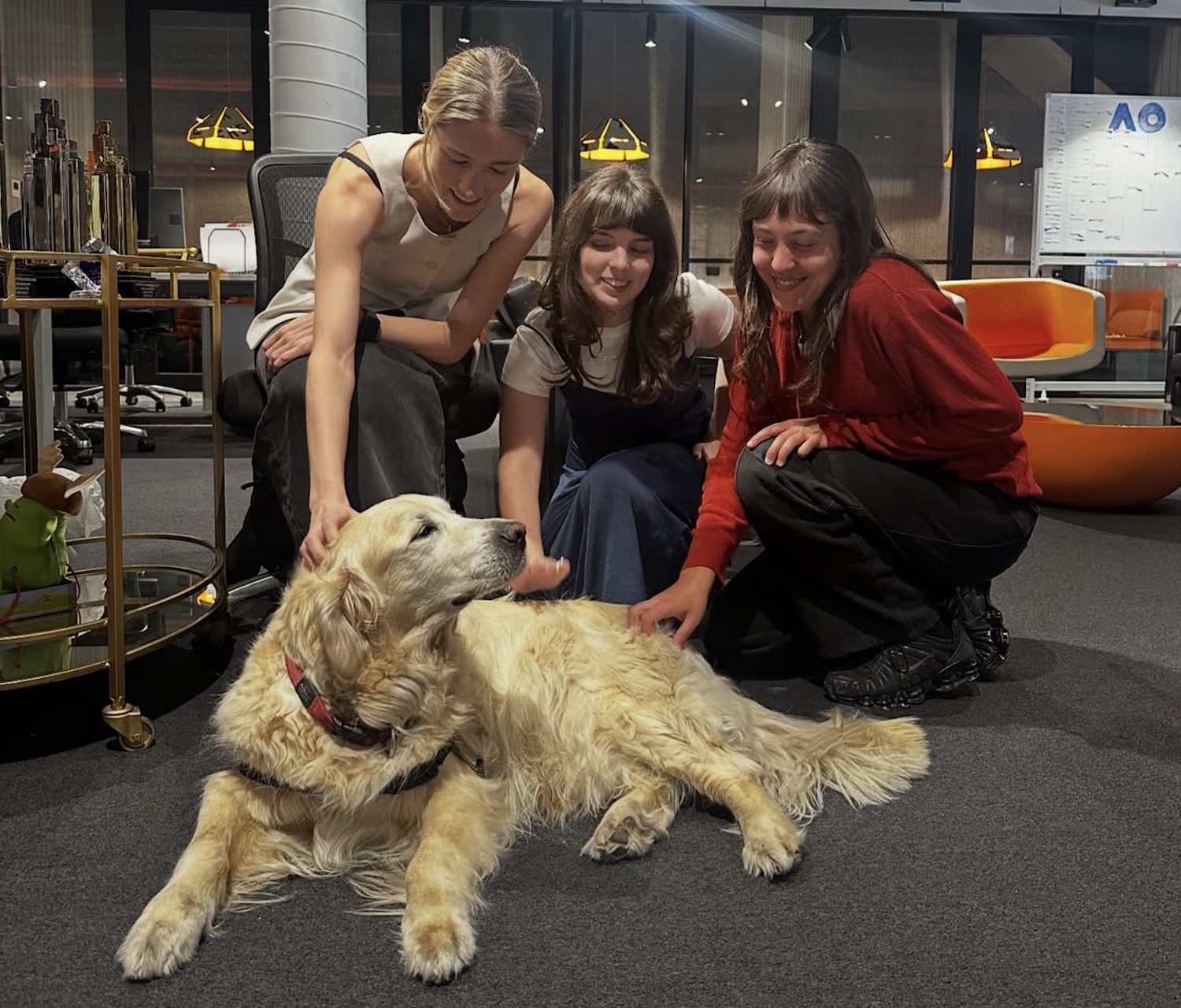 Hankin’s Rankins: Bestest Dogs in the Advertising Industry